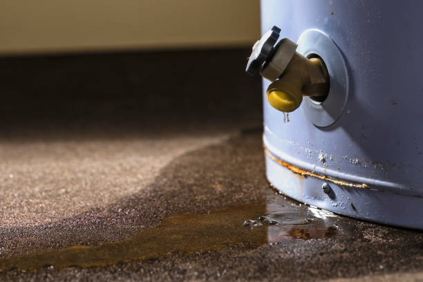  Belle Glade, FL Water damage restoration Pros