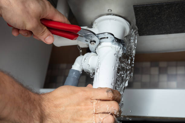 Best Water damage restoration near me  in Belle Glade, FL