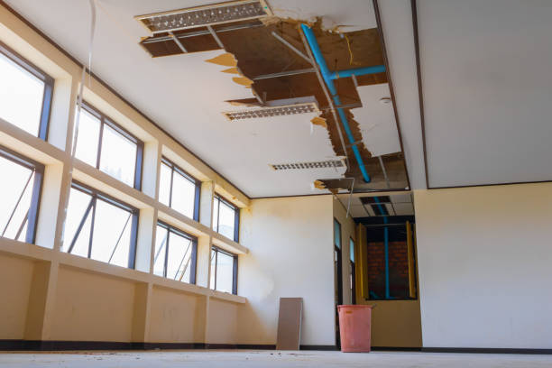 Best Commercial water damage restoration  in Belle Glade, FL