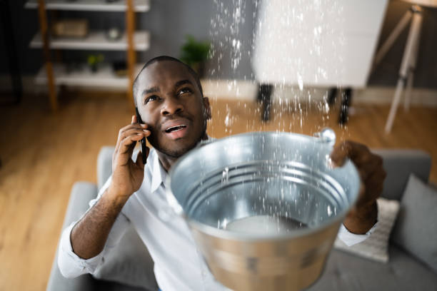 Best Local water damage restoration  in Belle Glade, FL