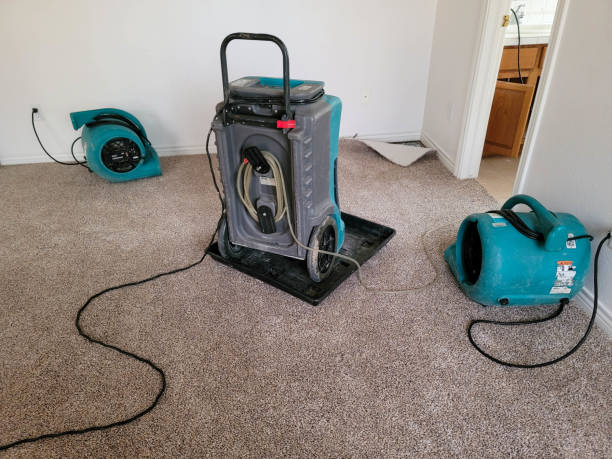 Best Commercial water damage restoration  in Belle Glade, FL