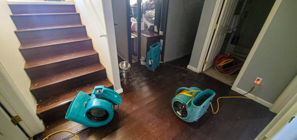 Best Residential water damage restoration  in Belle Glade, FL