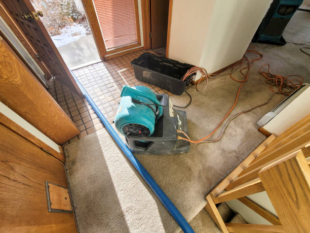 Best Emergency water extraction  in Belle Glade, FL