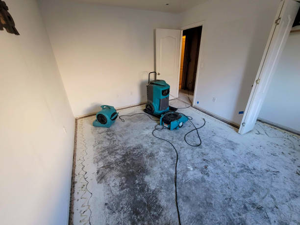 Best Water damage restoration company  in Belle Glade, FL