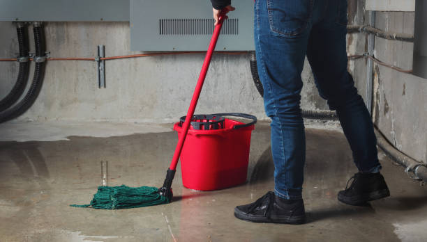 Best Sewage cleanup and water damage restoration  in Belle Glade, FL