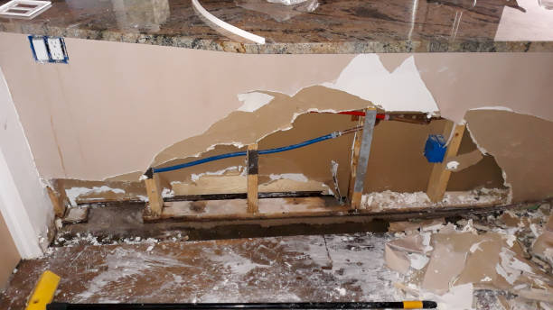 Best Flood restoration services  in Belle Glade, FL