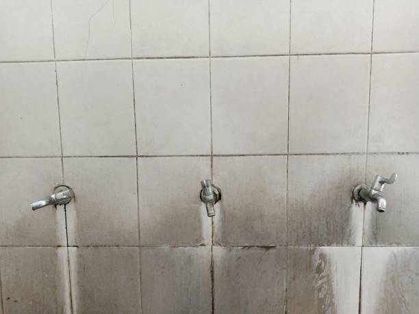 Best Mold removal after water damage  in Belle Glade, FL