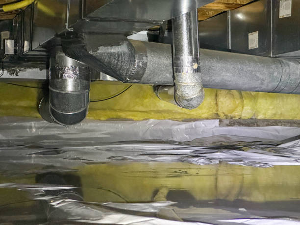 Best Water damage cleanup near me  in Belle Glade, FL