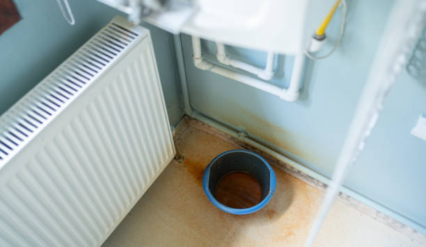 Reliable Belle Glade, FL Water damage restoration Solutions