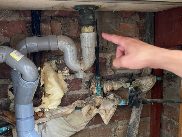 Best 24-hour water damage restoration  in Belle Glade, FL