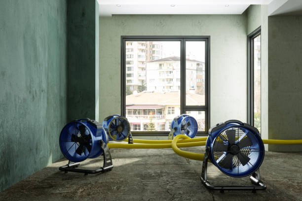 Best Water damage restoration insurance claims  in Belle Glade, FL
