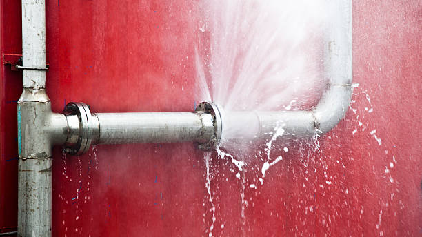 Best Basement water damage restoration  in Belle Glade, FL