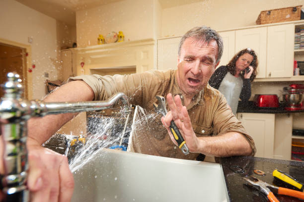 Best Water damage cleanup near me  in Belle Glade, FL